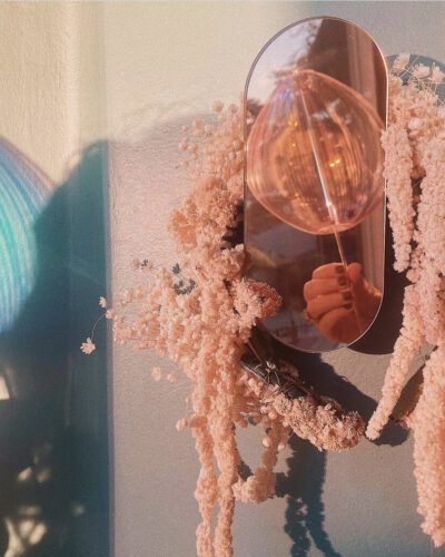 In Which Light Catches