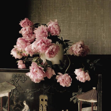 A Touch of Feminine…