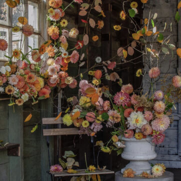 Design Inspiration, lately…