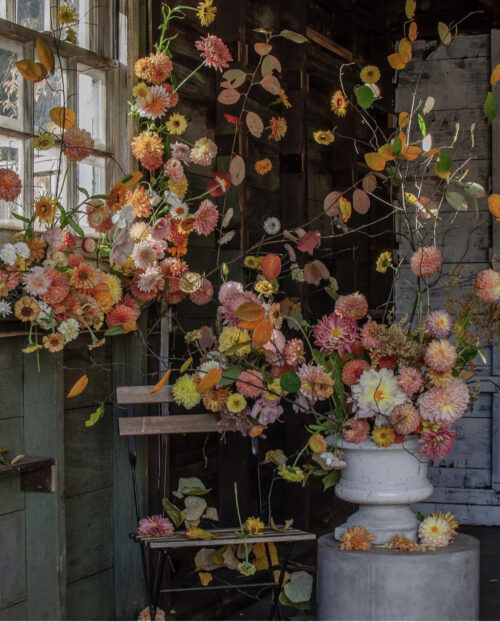 A Burst of Autumnal Florals