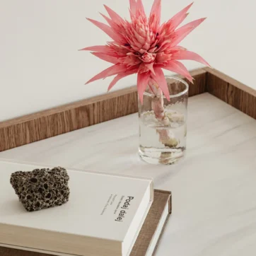 Maximizing Success: The Role of Business Coaching